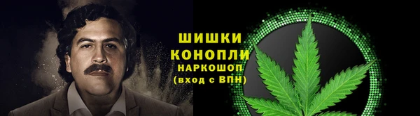 сатива Навашино