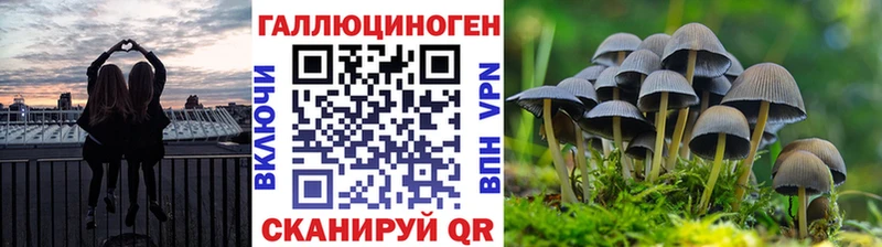 Галлюциногенные грибы мицелий  мега зеркало  Павловская  сколько стоит 